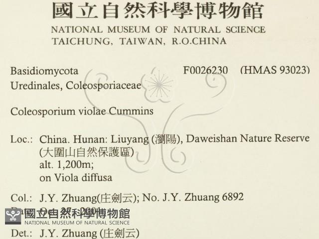 登錄號:F0026230藏品圖，第2張