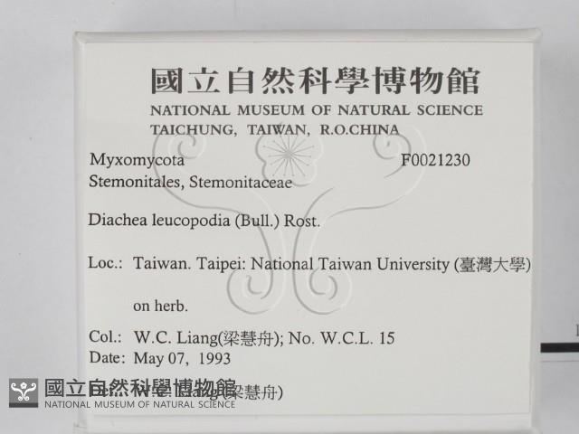 登錄號:F0021230藏品圖，第2張
