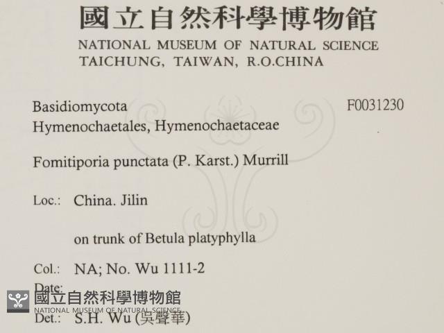 登錄號:F0031230藏品圖，第2張