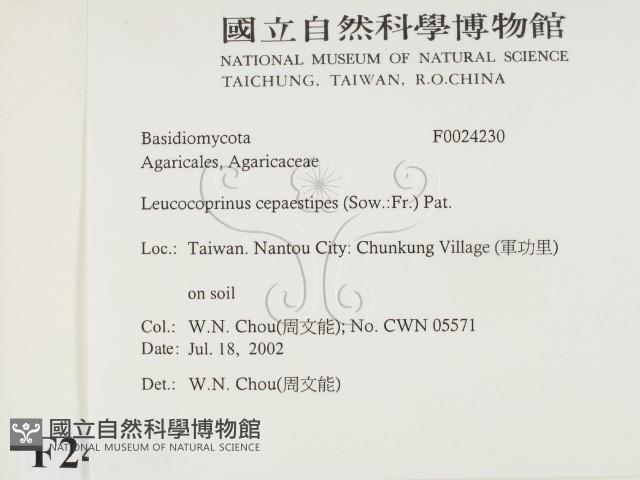 登錄號:F0024230藏品圖，第2張