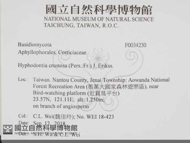 登錄號:F0034230藏品圖，第2張