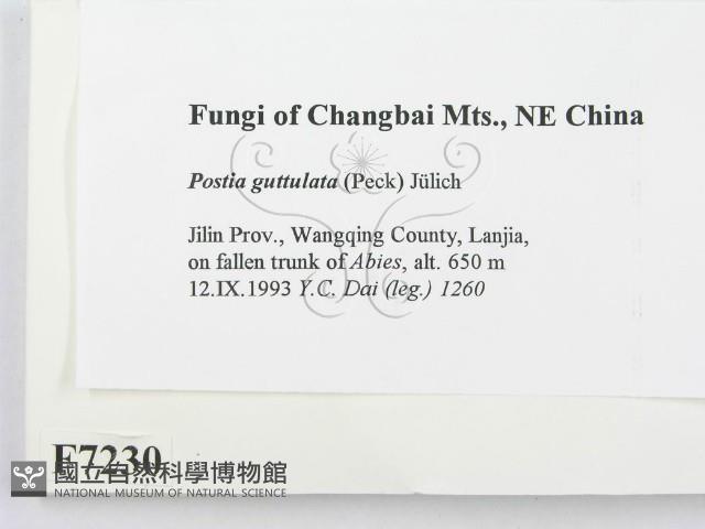 登錄號:F0007230藏品圖，第2張