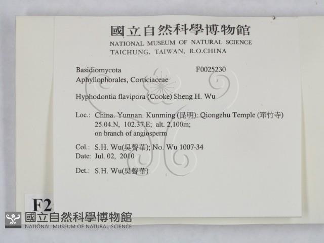 登錄號:F0025230藏品圖，第2張