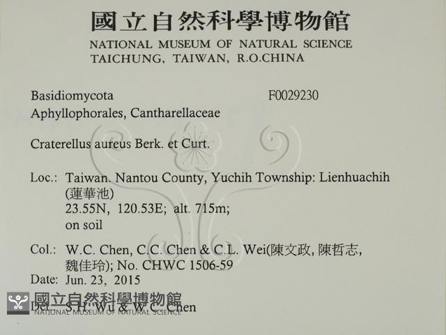 登錄號:F0029230藏品圖，第2張