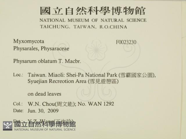 登錄號:F0023230藏品圖，第2張