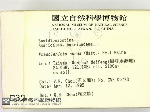 登錄號:F0003230藏品圖，第2張