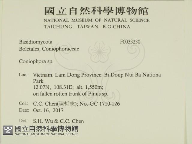 登錄號:F0033230藏品圖，第2張