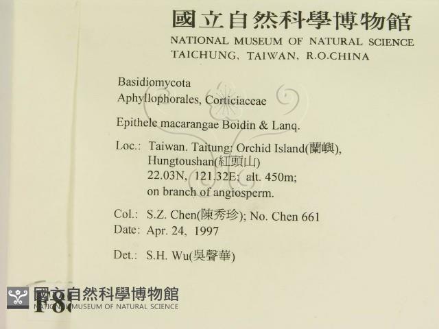 登錄號:F0008830藏品圖，第2張