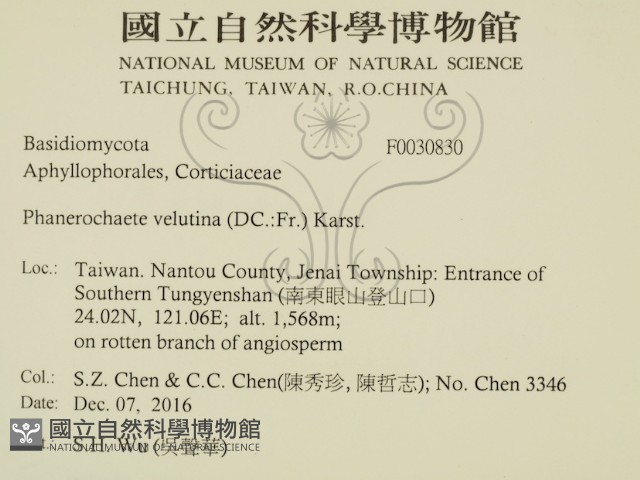 登錄號:F0030830藏品圖，第2張