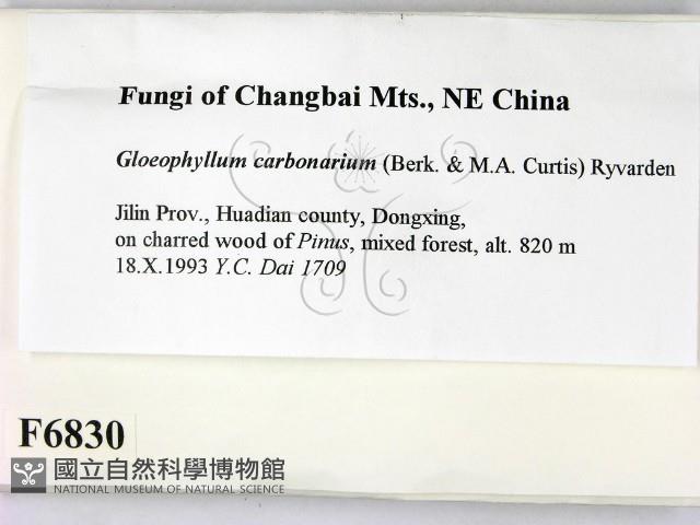 登錄號:F0006830藏品圖，第2張