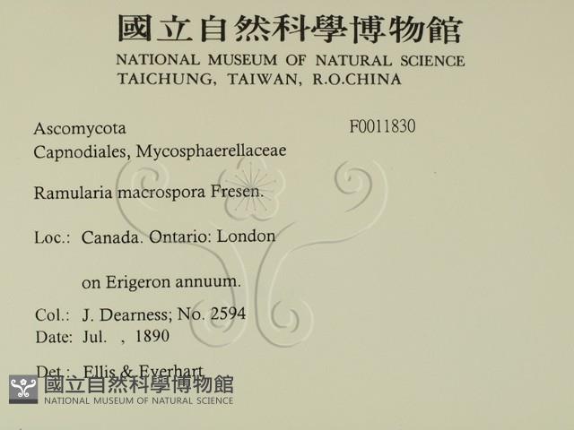 登錄號:F0011830藏品圖，第2張