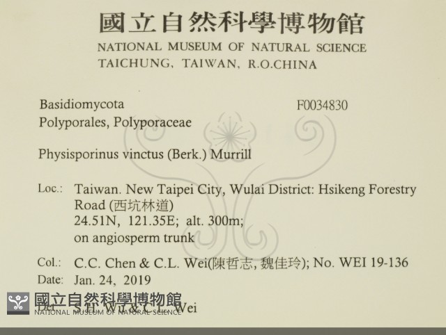 登錄號:F0034830藏品圖，第2張