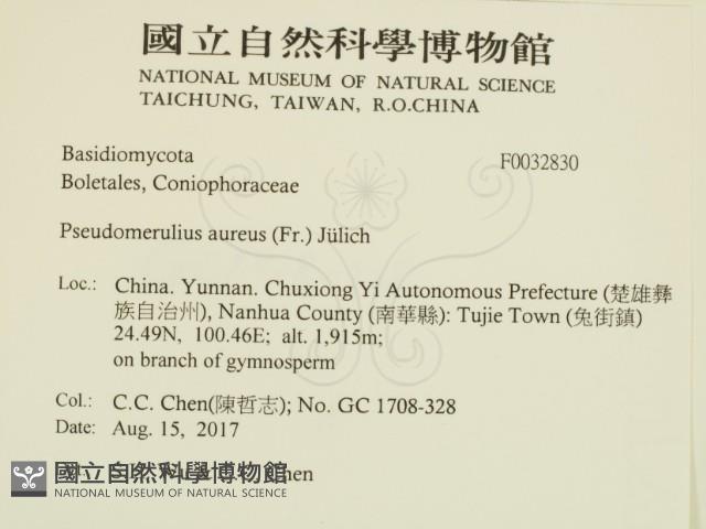 登錄號:F0032830藏品圖，第2張