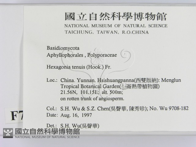 登錄號:F0007830藏品圖，第2張