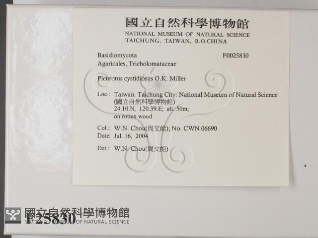 登錄號:F0025830藏品圖，第2張