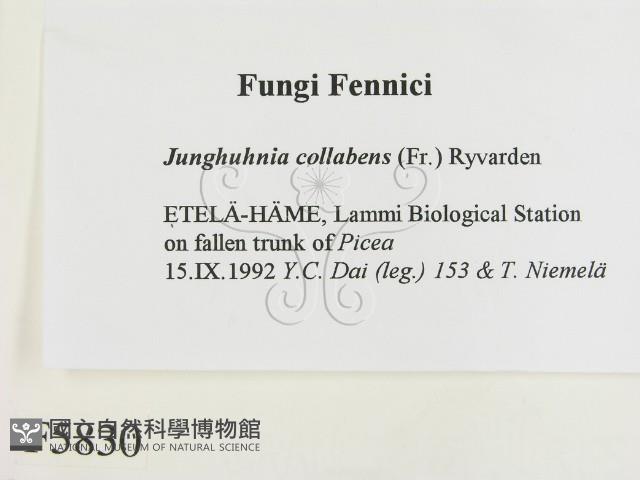 登錄號:F0005830藏品圖，第2張