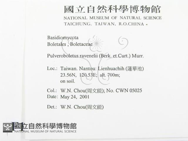 登錄號:F0015830藏品圖，第2張
