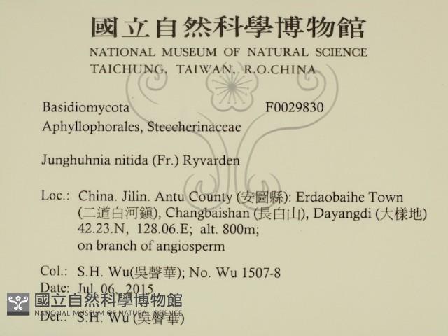 登錄號:F0029830藏品圖，第2張