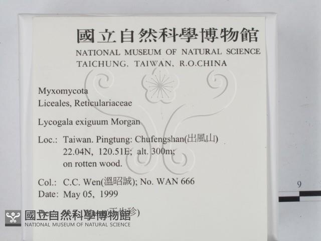 登錄號:F0009830藏品圖，第2張