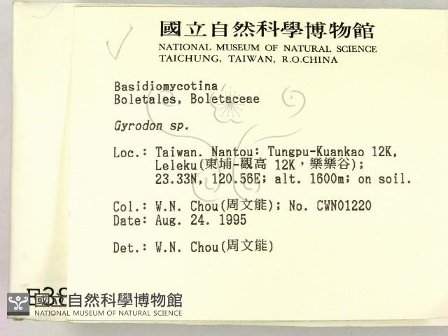 登錄號:F0003830藏品圖，第2張