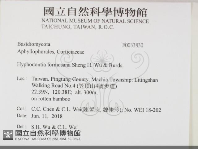 登錄號:F0033830藏品圖，第2張