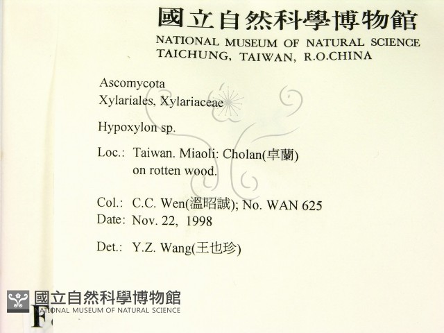 登錄號:F0008930藏品圖，第2張