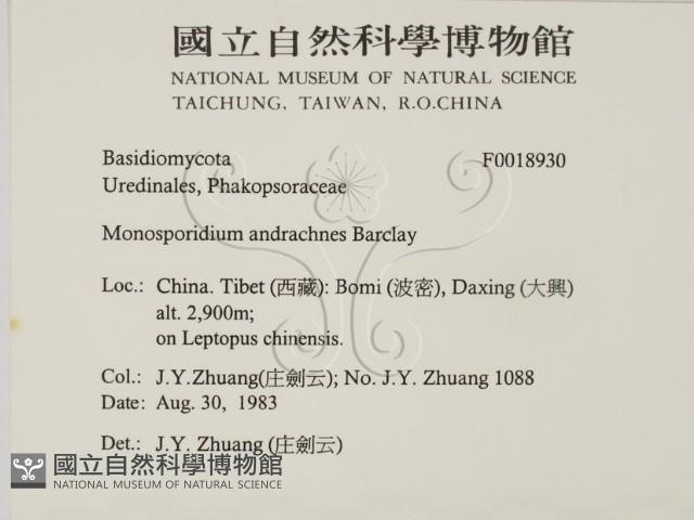 登錄號:F0018930藏品圖，第2張