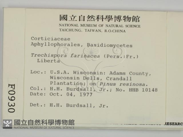 登錄號:F0000930藏品圖，第2張