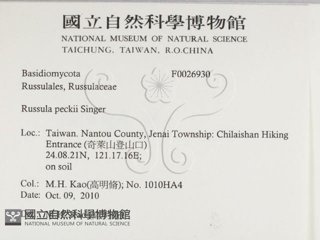 登錄號:F0026930藏品圖，第2張