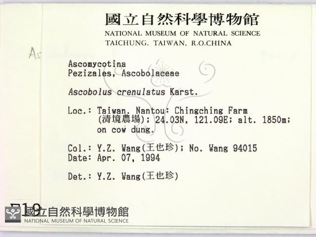 登錄號:F0001930藏品圖，第2張