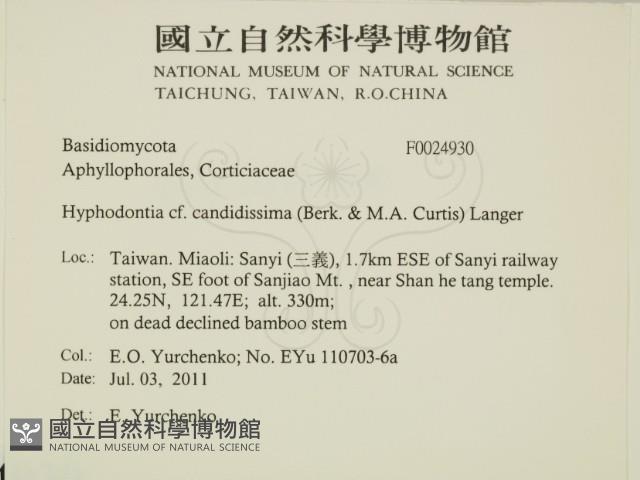 登錄號:F0024930藏品圖，第2張