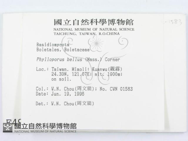 登錄號:F0004930藏品圖，第2張