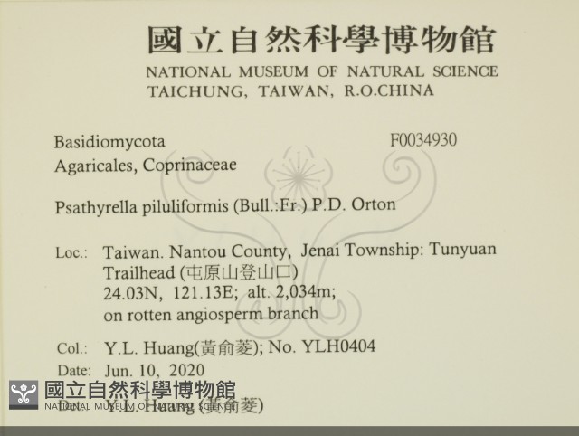 登錄號:F0034930藏品圖，第2張