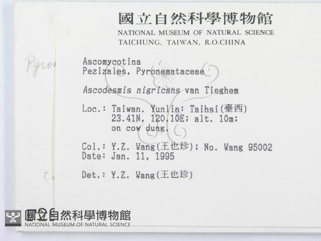 登錄號:F0002930藏品圖，第2張