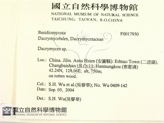 花耳屬藏品圖，第2張
