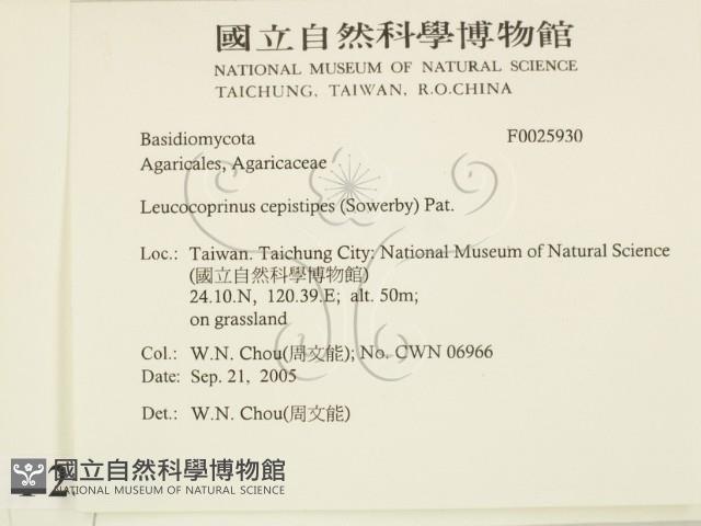 登錄號:F0025930藏品圖，第2張
