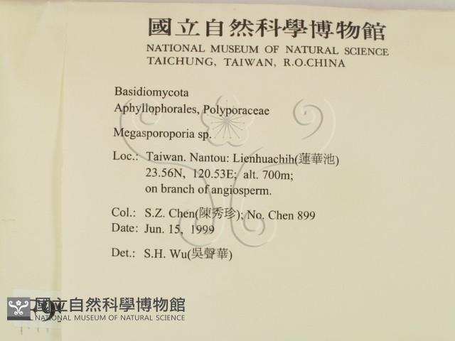 登錄號:F0009930藏品圖，第2張