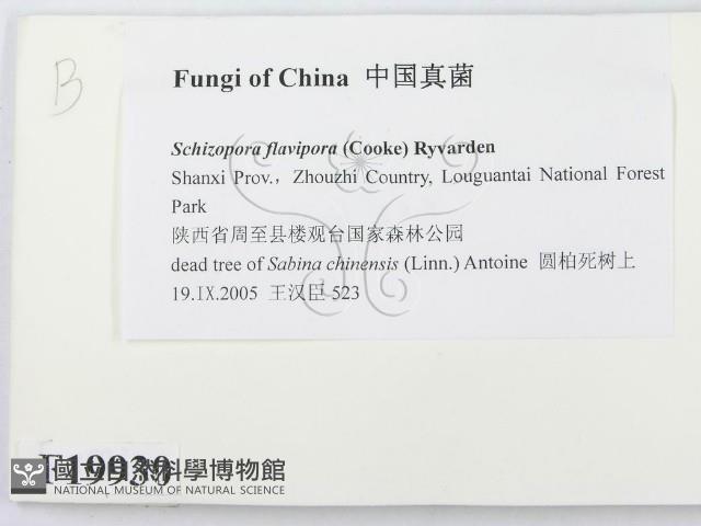 登錄號:F0019930藏品圖，第2張