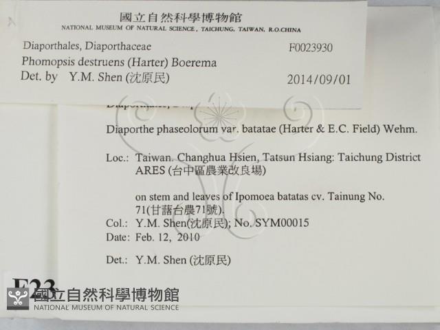登錄號:F0023930藏品圖，第2張