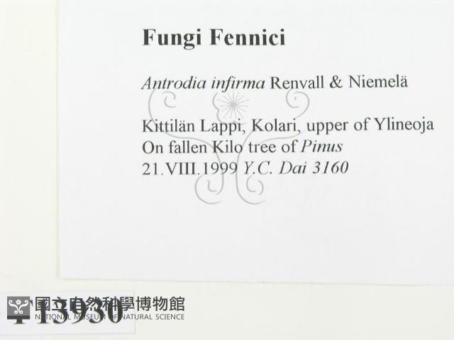 登錄號:F0013930藏品圖，第2張