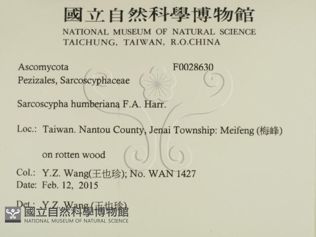 登錄號:F0028630藏品圖，第2張