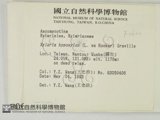 登錄號:F0000630藏品圖，第2張
