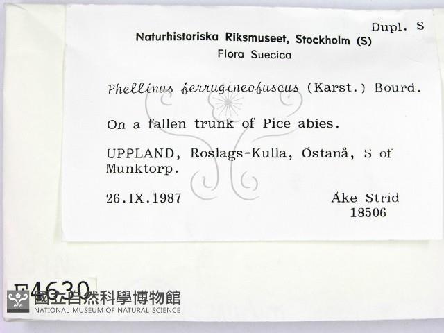 登錄號:F0004630藏品圖，第2張