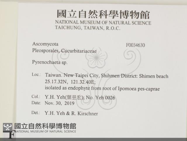 登錄號:F0034630藏品圖，第2張