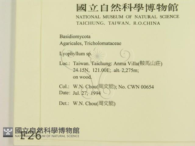 登錄號:F0002630藏品圖，第2張