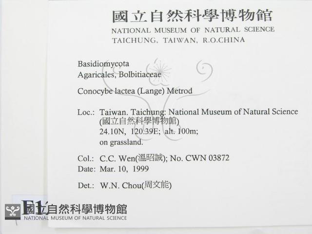 登錄號:F0012630藏品圖，第2張