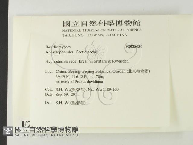 登錄號:F0025630藏品圖，第2張