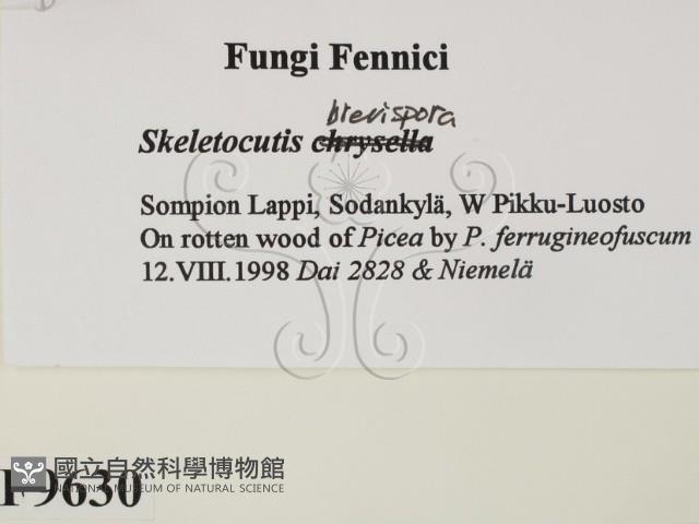 登錄號:F0009630藏品圖，第2張