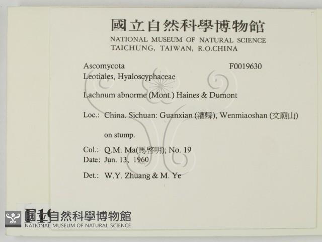 登錄號:F0019630藏品圖，第2張