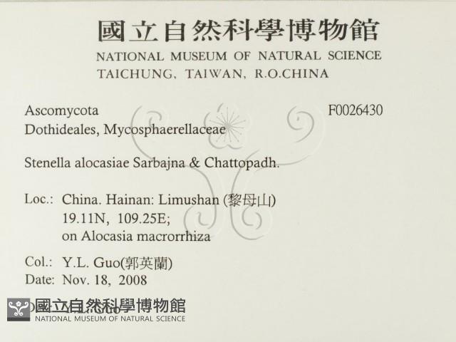 登錄號:F0026430藏品圖，第2張